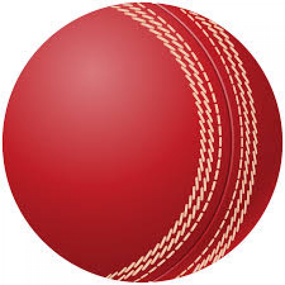 Cricket Ball